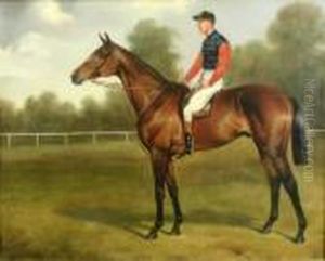 Persimmon With Jockey Up Persimmon With Jockey Up