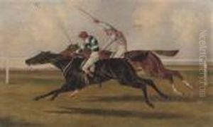 The Duke Of Beaufort's Petronelle And The Duke Of Hamilton's Moonshine