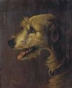 The Head Of A Deerhound