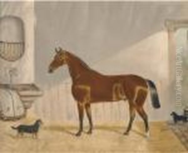 A Chestnut Hunter In A Stable - view 1