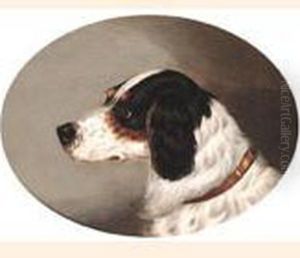 Head Of An English Setter by John Arnold Wheeler