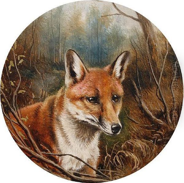 Head Of A Fox - view 1
