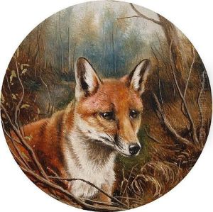 Head Of A Fox