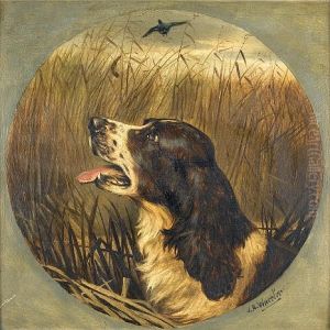 Head Of A Springer Spaniel