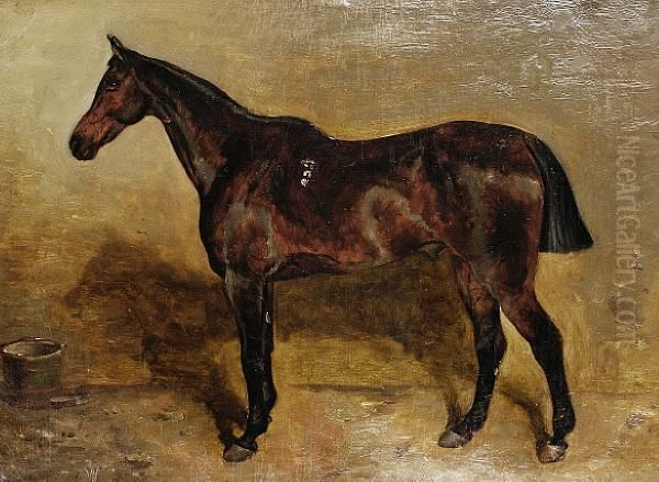 A Chestnut Hunter In A Stable - view 1