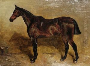 A Chestnut Hunter In A Stable