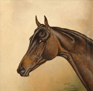 Head Study Of A Horse