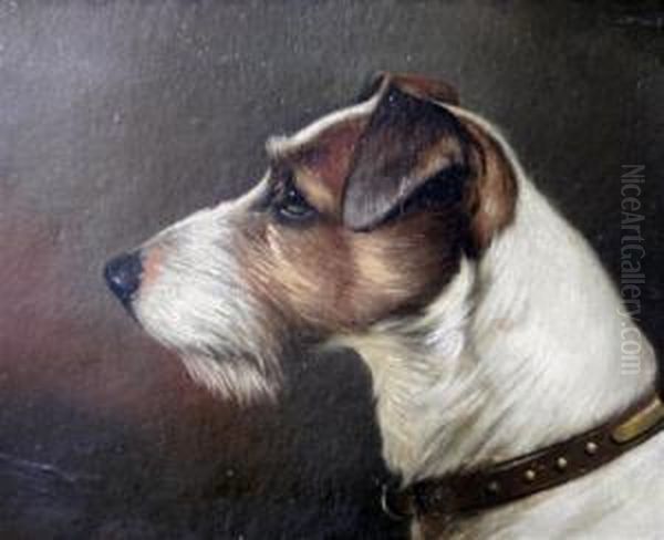 Heads Of Jack Russell's - view 1