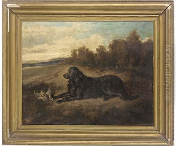 A Well Trained Retriever - view 1