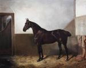 Dark Bay Hunter In A Stable by John Alfred Wheeler