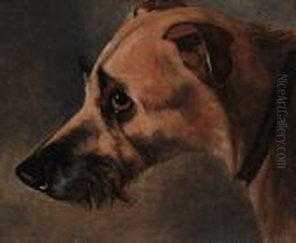 Study Of A Hound's Head - view 1