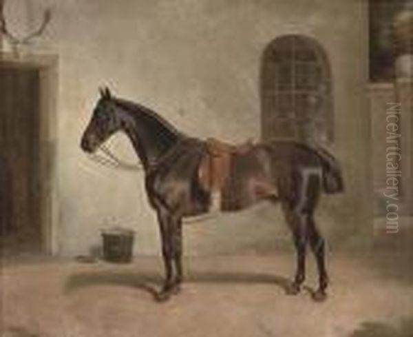 A Saddled Chestnut Hunter Outside The Stables - view 1