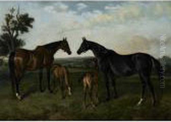 Brood Mares - view 1