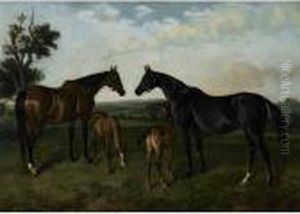 Brood Mares