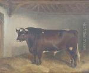 Lord Somerset 3rd - A Bull Lord Somerset 3rd - A Bull