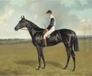 St. Simon, With Fred Archer Up On Newmarket Heath