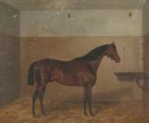 ''the Doctor' - A Bay Horse In A Loose Box' by John Alfred Wheeler