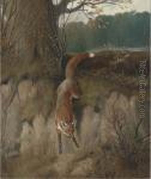 The Hunted Fox - view 1