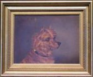 Head Of A Norwich Terrier by John Alfred Wheeler