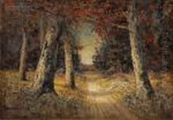 Path Through The Woods - view 1