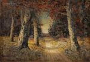 Path Through The Woods