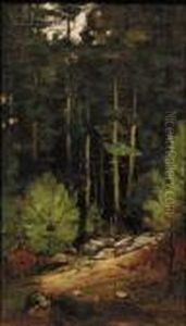 Woodland View.