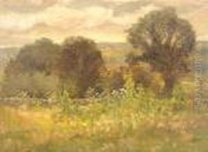 Landscape-wild Flowers