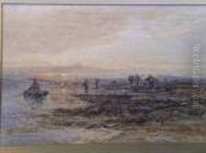 Crabcatchers On A Beach
