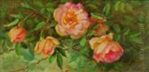 Roses Roses