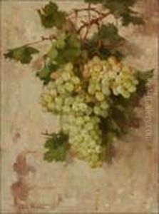 Grapes And Foliage Grapes And Foliage