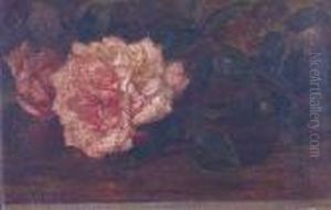 A Study Of A Rose A Study Of A Rose