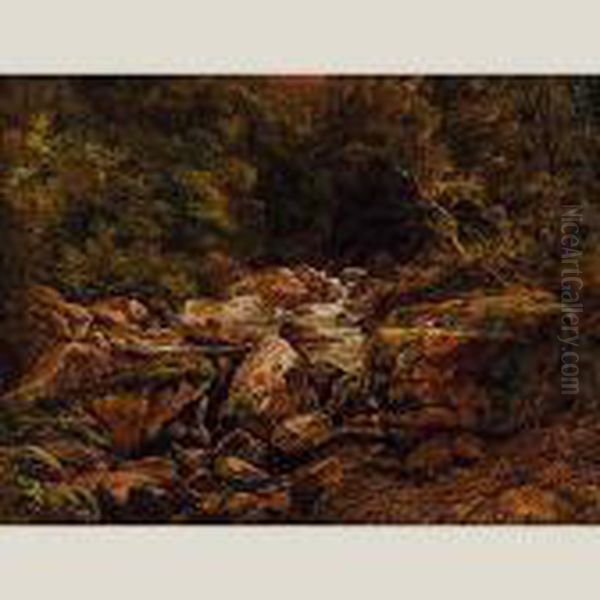 Paisaje - view 1