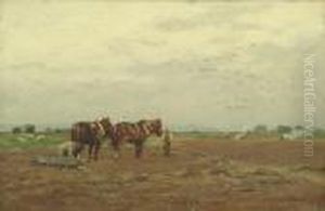 Harrowing The Fields