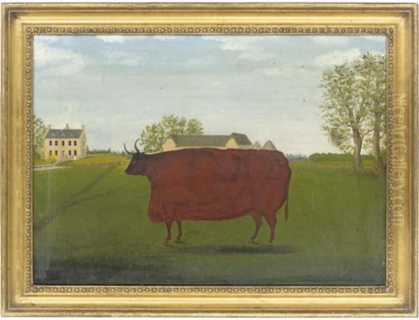 A Prize Bull - view 1