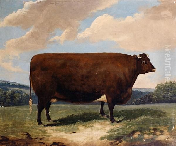 Cow In A Landscape - view 1