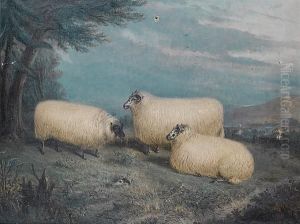 Prize Sheep At Rest In A Landscape by Richard Whitford