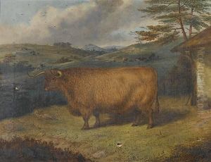 A Highland Steer by Richard Whitford