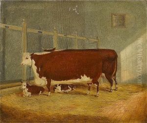 Two Hereford Shorthorns And Calves In A Stable