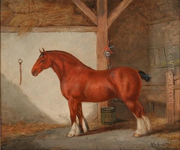 Suffolk Punch In A Stable - view 1