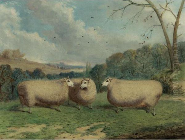 Mr. Henry J. Hopkin's Prize
Sheep, Winners Of The 1st & 2nd Prizes At Brockley, Smithfield Club,
Bedford, Market Harborough, 1876 & 1877 - view 1
