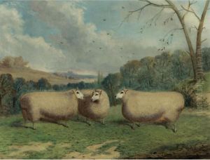 Mr. Henry J. Hopkin's Prize
Sheep, Winners Of The 1st & 2nd Prizes At Brockley, Smithfield Club,
Bedford, Market Harborough, 1876 & 1877 by Richard Whitford