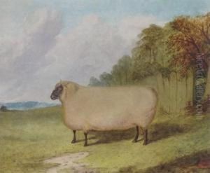 A Prize Ram In A Landscape by Richard Whitford