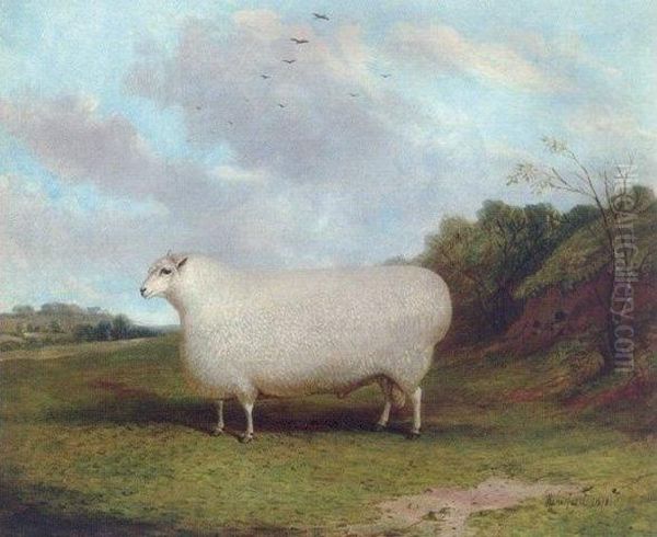 A Prize Cotswold Ram In A Landscape - view 1