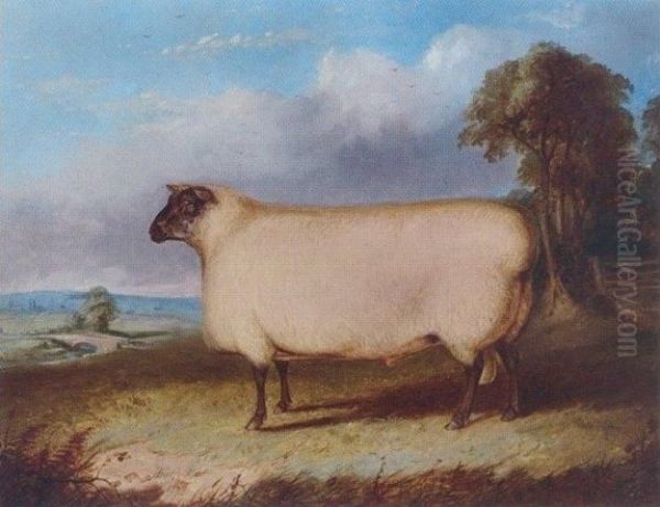 A Prize Shropshire Ram In A Landscape - view 1