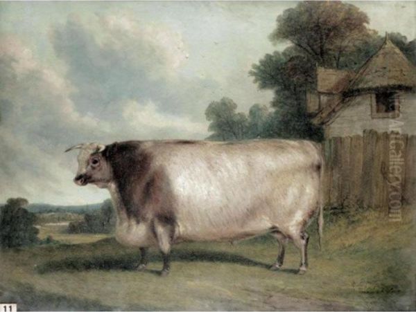 A Prize Short Horned Heifer In A Landscape - view 1