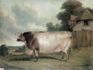 A Prize Short Horned Heifer In A Landscape by Richard Whitford