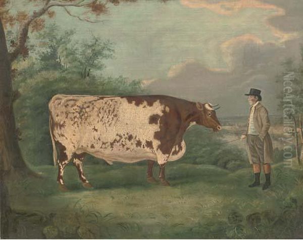 A Prize Bull - view 1