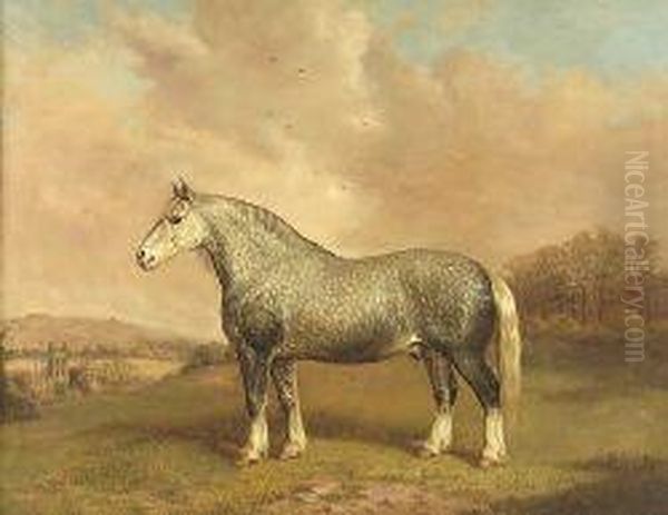 Study Of A Heavy Horse - view 1