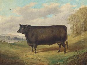 A Prize Bull by Richard Whitford