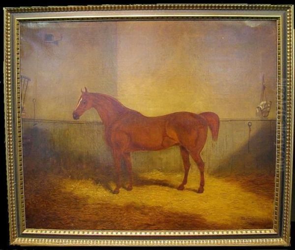 Horse In A Stable - view 1